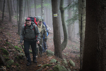 Three men hike in forest with backpack for trekking