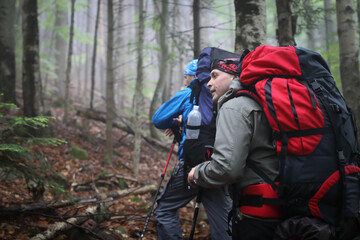 Fototapeta na wymiar Two men hike in forest with backpack for trekking