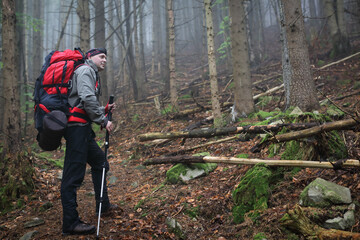 Active healthy man hiking in beautiful forest