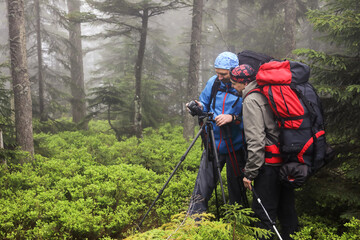 Photographer with camera on tripod shooting a landscape in forest