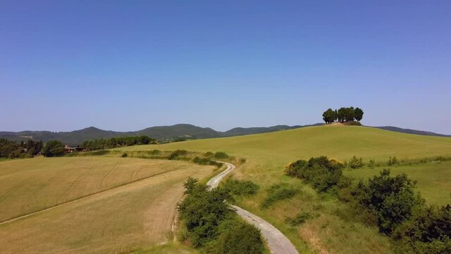 A road in the Tuscan countryside with a field of wheat and cypresses Orciano Pisano