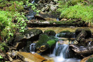 Naklejka na ściany i meble Waterfall at the carpatian mountains at the green rainy pine forest
