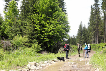 Group of diverse men trekking in the forest together