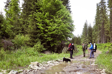 Group of diverse men trekking in the forest together