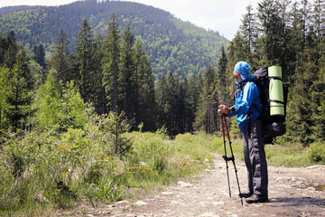 Active healthy man hiking in beautiful forest