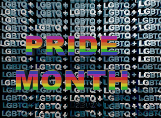 Pride Month inscription in flag colors on the background of a wall made of LGBTQ in white letters with falling sunlight and shadows of 3D rendering