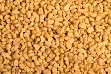 Fenugreek seed background