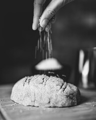 Fototapeta premium Multigrain homemade bread