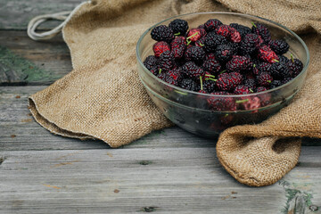 Mulberry isolated on a wooden background. Ripe mulberry fruit. Healthy food from mulberry fruit has...