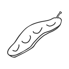 Hand drawn vector illustration of a pod in black ink on white background. Peas in doodle style. Isolated outline.