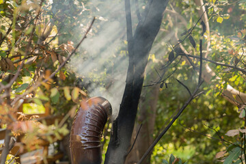 the stove smoke in forest 