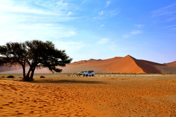 Fototapeta na wymiar Off road cars standing at parking lot near Dune 45, the biggest dune in the world, Namibian Desert, Dead Vlei, Namibia