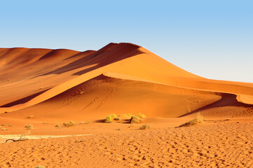 Fototapeta na wymiar Orange color sand Dune in Namib Desert, Namibia, Africa landscape