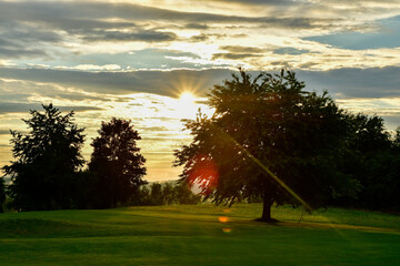 Evening atmosphere after a thunderstorm with trees and meadow - golf course