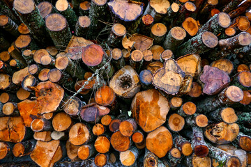 Flo, Sweden July 7, 2020 Stacked timber by the side of the road.