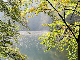 Fototapeta premium The romantic autumn lake view