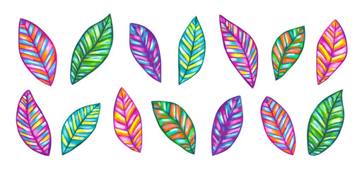 Fototapeta premium Beautiful Colorful Leaves Set - Hand Drawn