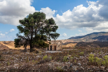 Tree in the castle of Antimachia village in Kos. Greece