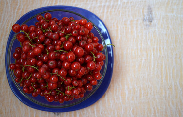 Red currants on a blue ceramic plate on a background of a board covered with gauze