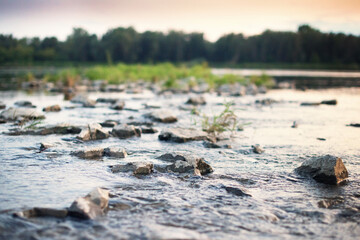 A rocky shore with clumps of green grasses. The river Vistula in Poland.