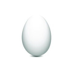 Inshell white chicken egg isolated on a white background. Realistic vector illustration, eps 10.
