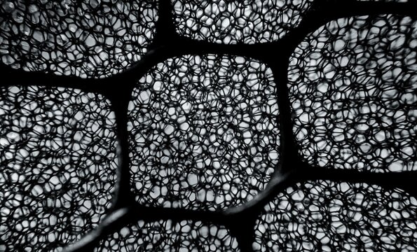 abstract seamless pattern with waves