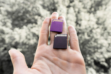 purple and rose sd flash cards in the hand of a man, green blurred trees in a background. storing...