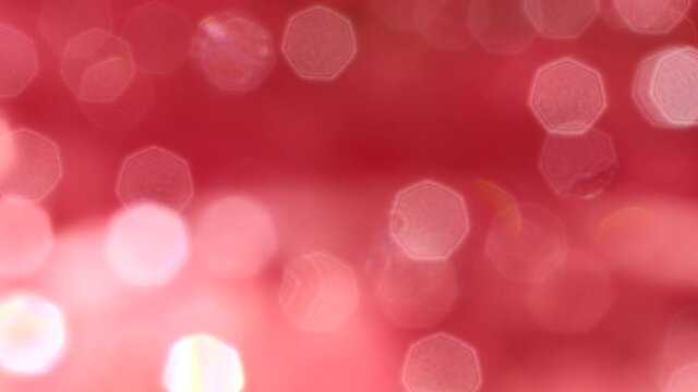 christmas light bokeh background  white red color heptagon snape by panoramic effect / bright water drop on red leaf