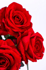 bouquet of artificial red roses on a white background