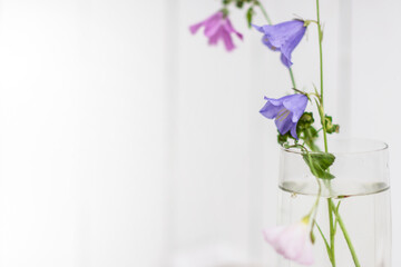 Bouquet of wild flower bellflower campanula , in a glass vase on an embroidered tablecloth in white wooden background, home decoration concept