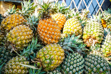 Fresh citrus ripe pineapples pattern background