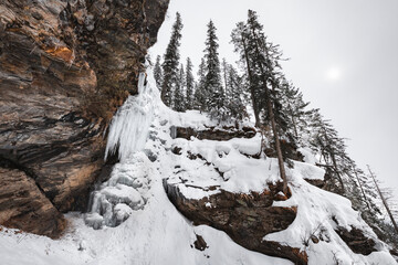 Fototapeta na wymiar Snowfall in winter Manali in Himachal Pradesh, India