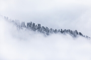 Snowfall in winter Manali in Himachal Pradesh, India - 362837681