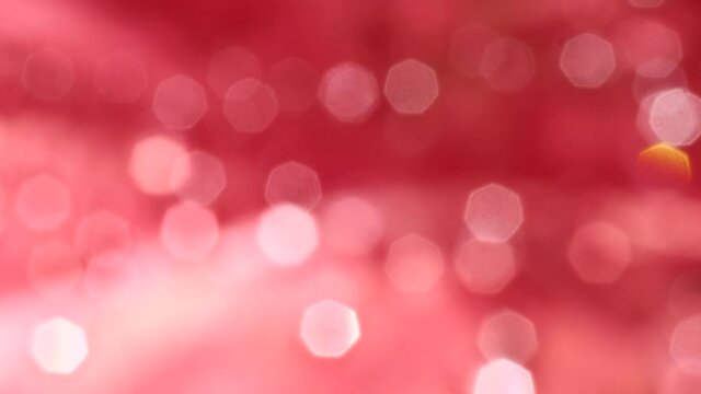 abstract bokeh background  white red color heptagon snape / bright water drop on red leaf