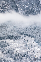 Snowfall in winter Manali in Himachal Pradesh, India - 362838077