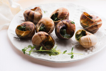 Escargot platter, delicious french delicatessen