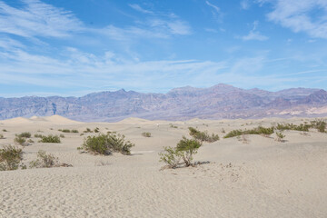 Fototapeta na wymiar The dunes in Death Valley National Park.