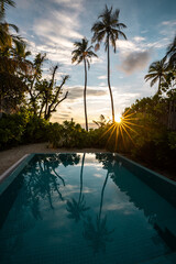 Cherish a sunset besides an infinity pool of island resorts in Maldives watching over the palm trees into the ocean horizon - 362840228