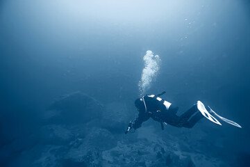 diver flippers view from the back underwater, underwater view of the back of a person swimming with...