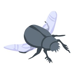 Flying scarab icon. Isometric of flying scarab vector icon for web design isolated on white background