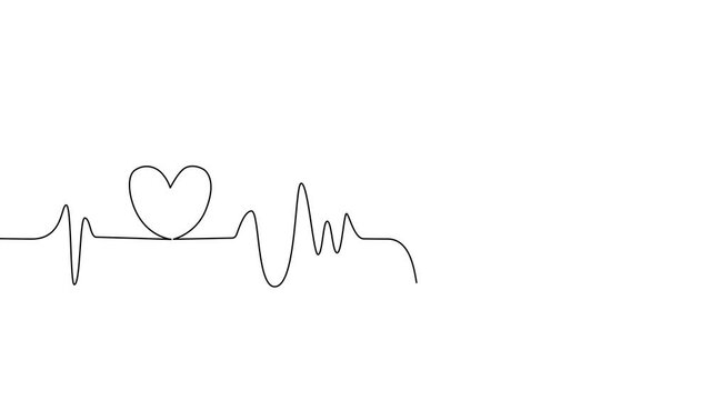 animation Single solid line art cardiogram anatomical human heart silhouette. Healthy medicine and love concept one sketch outline design