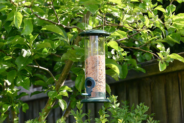 bird house on a tree