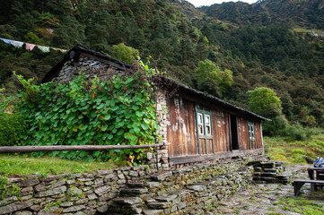 The shed