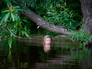 mermaid girls with blue eyes in green thickets in the water