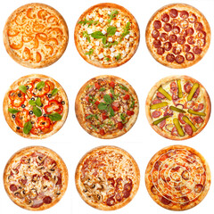Set of nine different kind of pizza