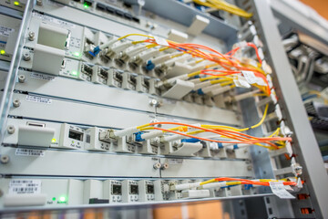 Server rack with red internet patch cord cables connected to patch panel in server room