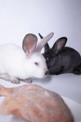 gray and white rabbits-bunnies scared near a raw piece of meat. copy space. Meat, culinary, vegetarian concept. Save animals. High quality photo