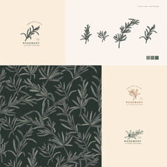 Vector illustration rosemary branch - vintage engraved style. Logo composition in retro botanical style. Seamless pattern.