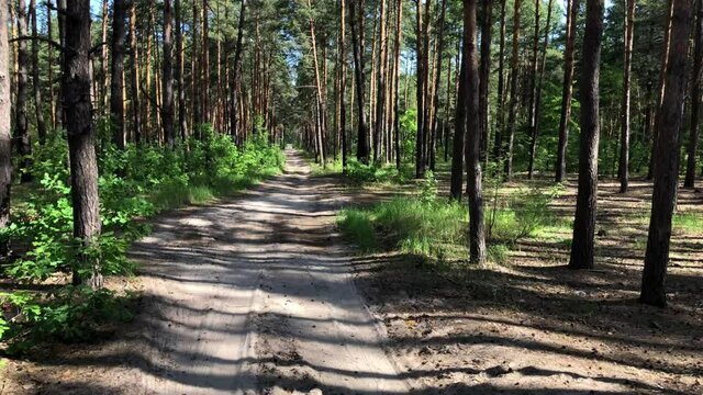Take-off from a country road in a pine forest.
