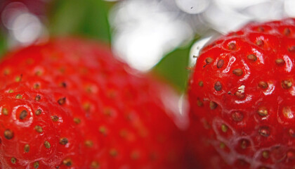 Fresas para recursos gráficos